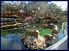 L'Oceanogràfic Oceanarium 102